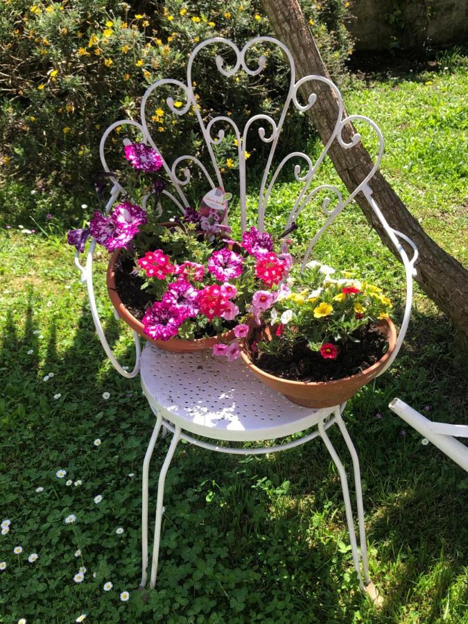 B&B Anna Bolsena Extérieur photo